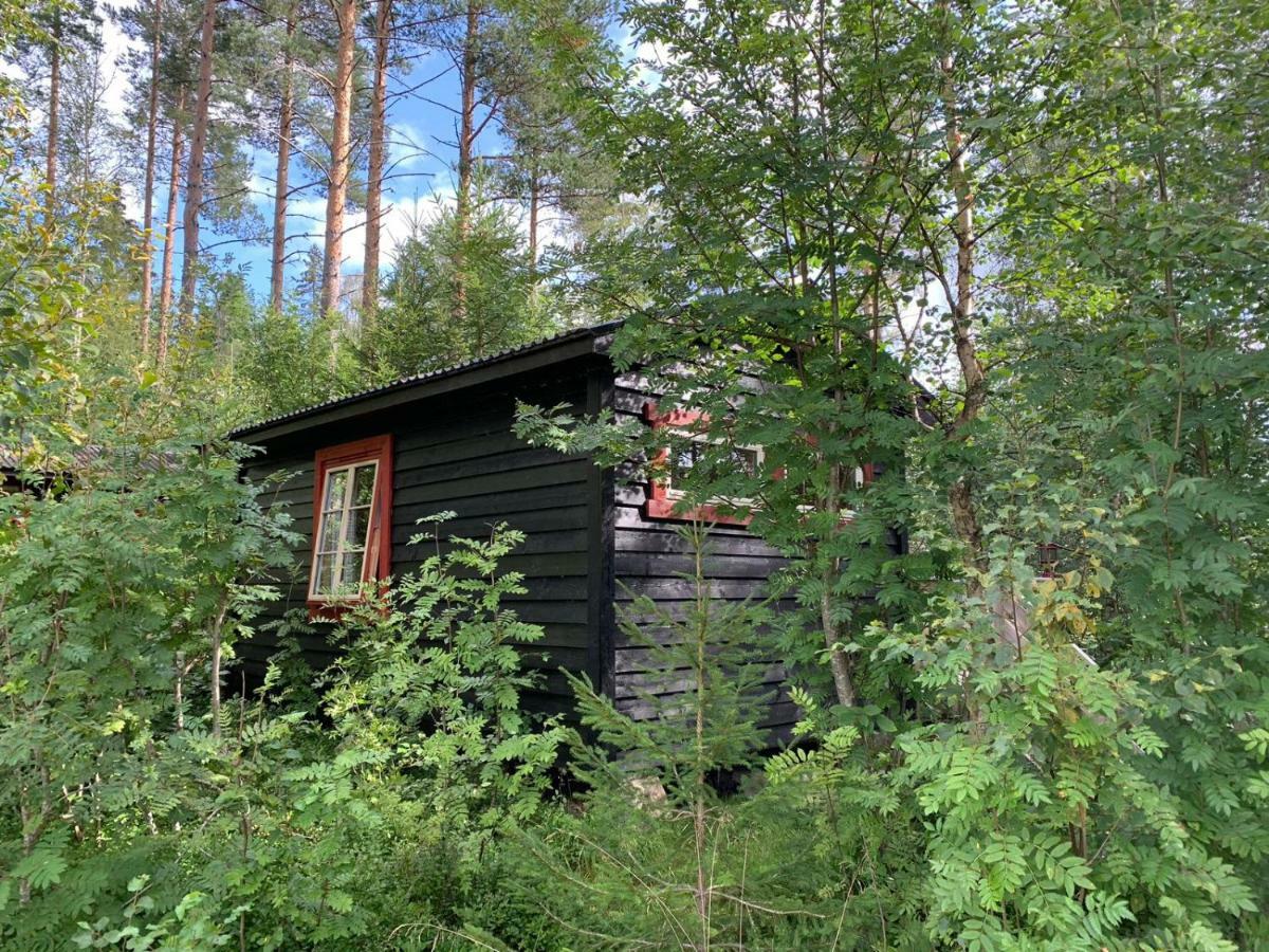 Fossumsanden Camping Og Hytter Fyresdal Dış mekan fotoğraf