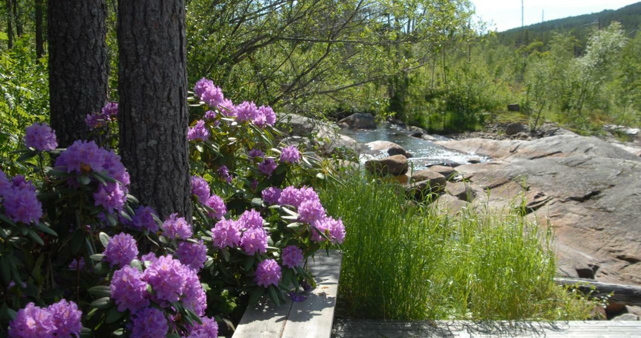 Fossumsanden Camping Og Hytter Fyresdal Dış mekan fotoğraf